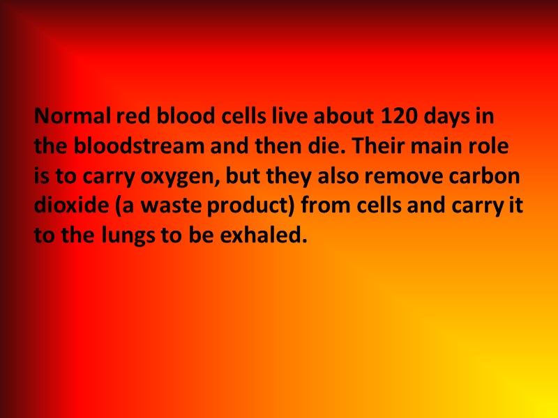 Normal red blood cells live about 120 days in the bloodstream and then die.